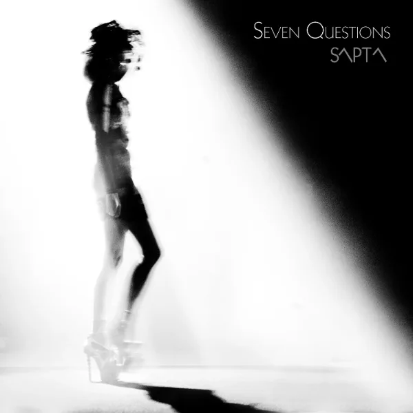 Seven Questions cover